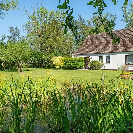 An Der Silberfuchsboerse *